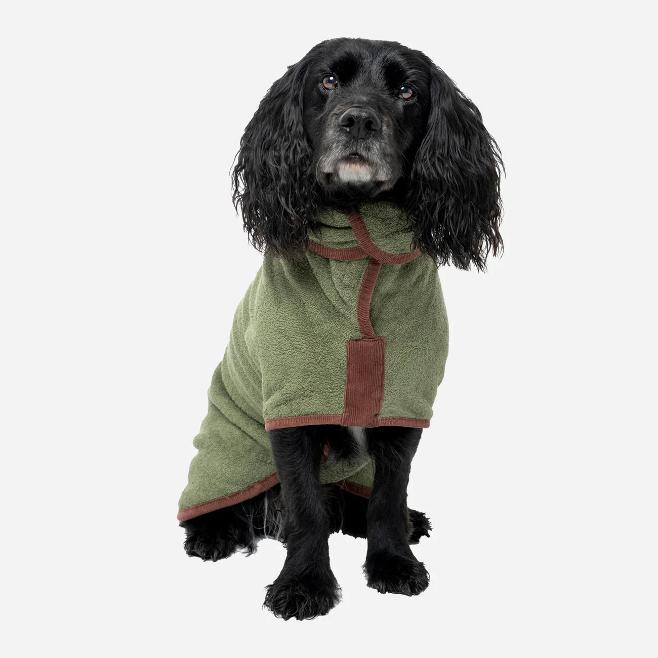 Dog drying coat Moss